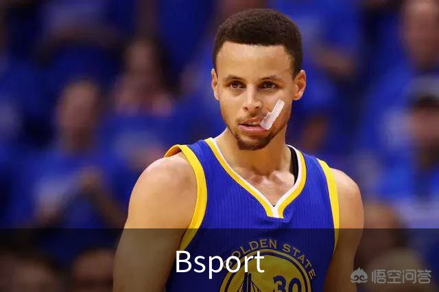 Bsport公司简介图片